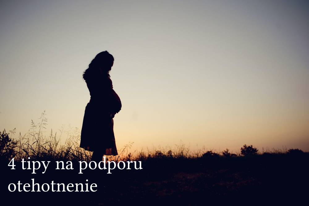 podpora tehotenstva