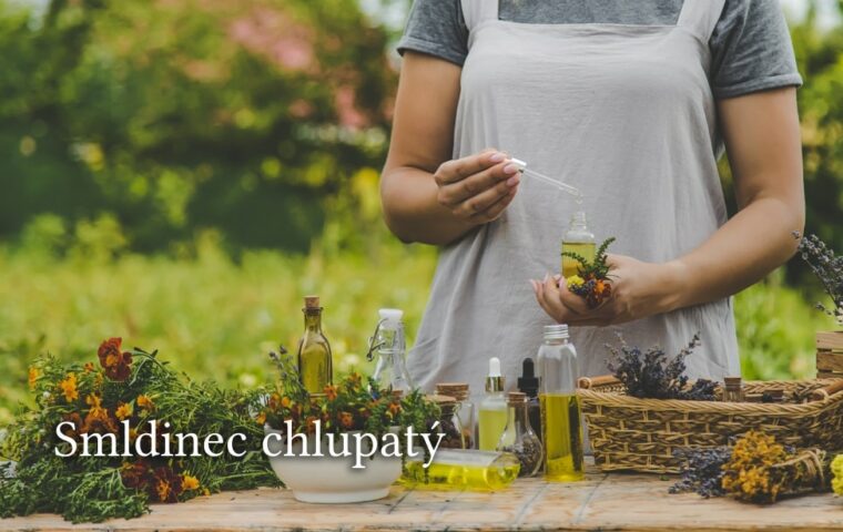Smldinec chlpatý: Spoznajte jeho najlepšie účinky